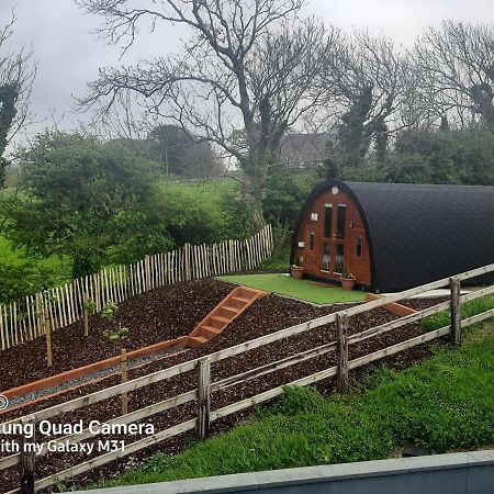 Ferienwohnung Ivy Hill Glamping Pod Ennis Exterior foto