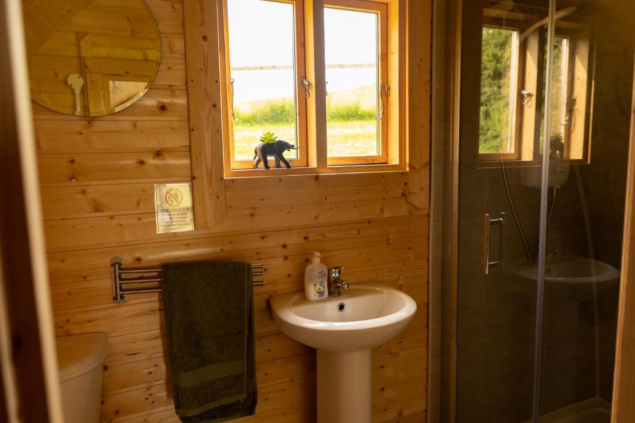Ferienwohnung Ivy Hill Glamping Pod Ennis Exterior foto